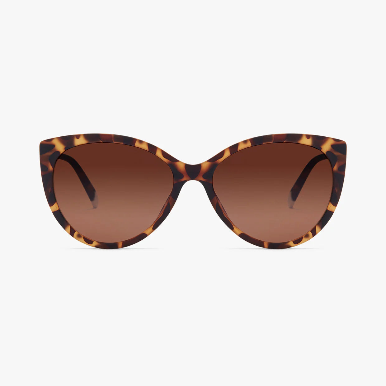 BARNER Belleville Sun 偏光太陽眼鏡｜使用 TR-90 材質製成