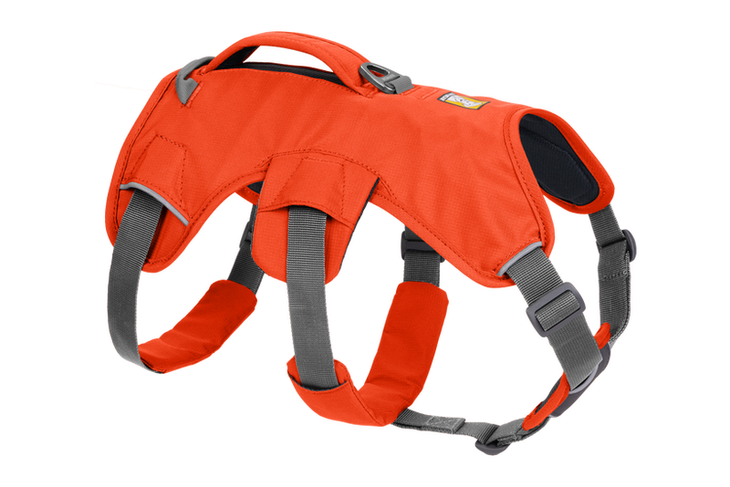RUFFWEAR Web Master™ Dog Harness with Handle 帶手柄狗胸帶