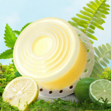Bodyluv Vita Pure Filter 純淨維他命濾芯 （維他命蓮蓬頭專用）