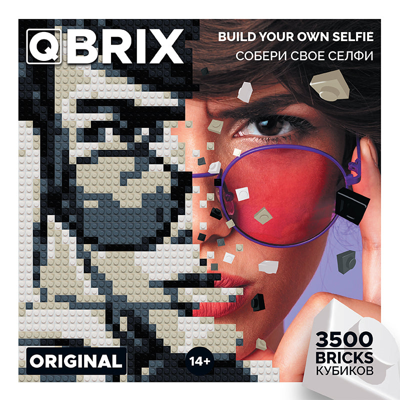 QBRIX 微顆粒圖元畫拼裝DIY照片 彩色版本