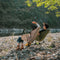 Naturehike 多角度可調户外便攜折疊椅 NH21JJ004