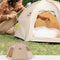 Naturehike NH21ZP014寵物六邊形戶外帳篷