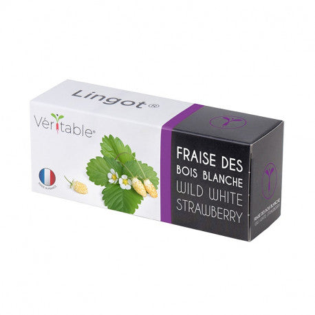 Véritable 種子土壤 套裝