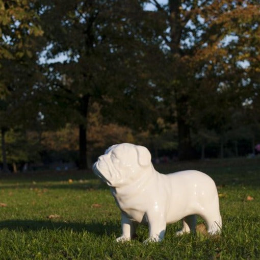 英國 Suck UK Guard Dog Money Box 老虎狗錢箱