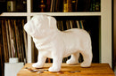 英國 Suck UK Guard Dog Money Box 老虎狗錢箱